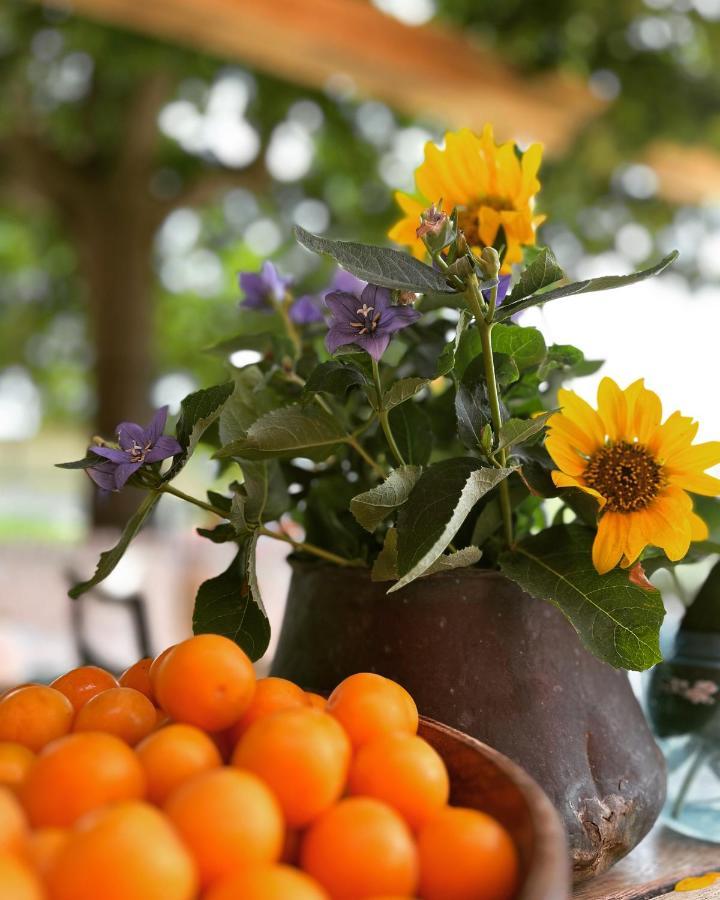 Podere Orzale Agri Hospitality Usigliano Екстер'єр фото