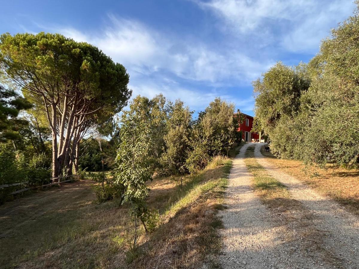 Podere Orzale Agri Hospitality Usigliano Екстер'єр фото
