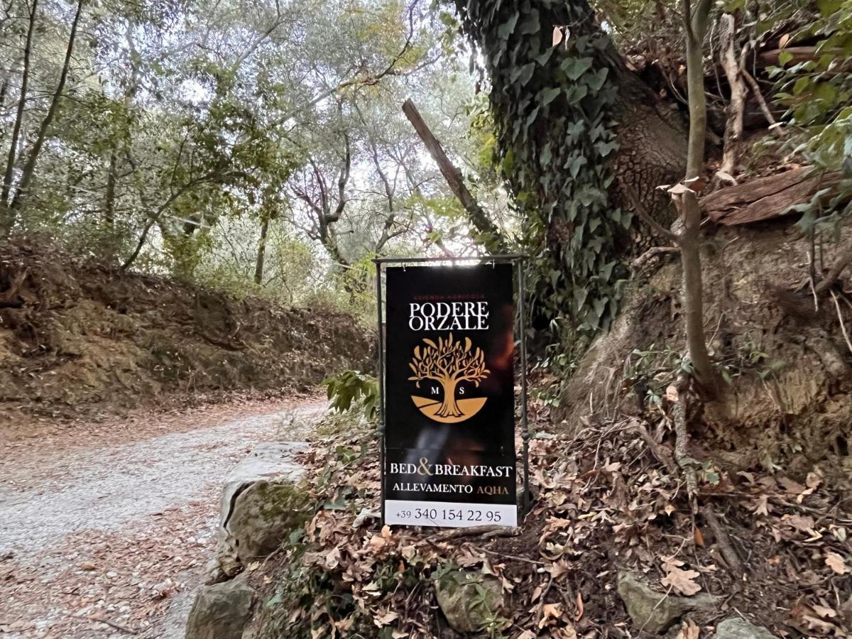 Podere Orzale Agri Hospitality Usigliano Екстер'єр фото