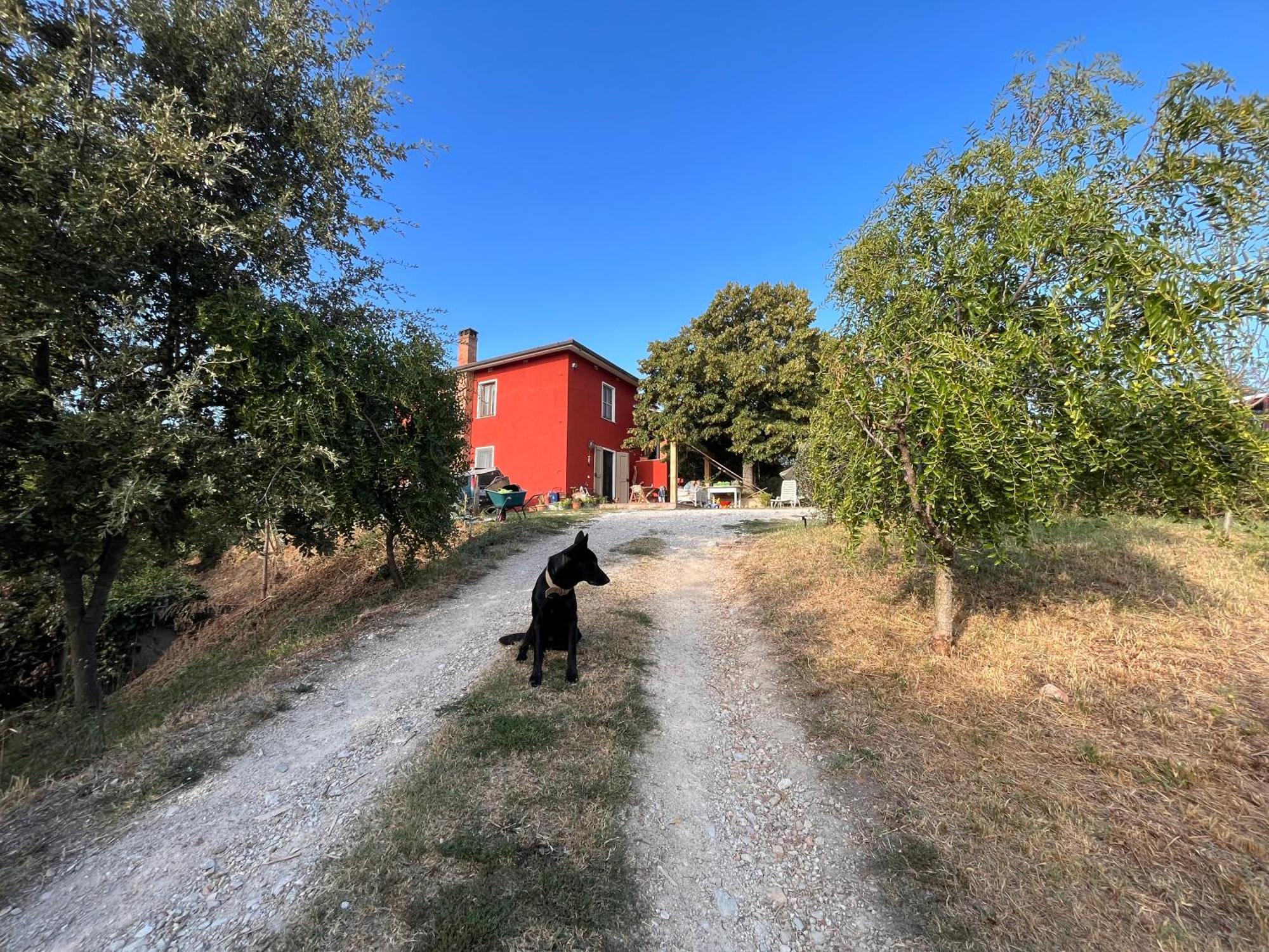 Podere Orzale Agri Hospitality Usigliano Екстер'єр фото
